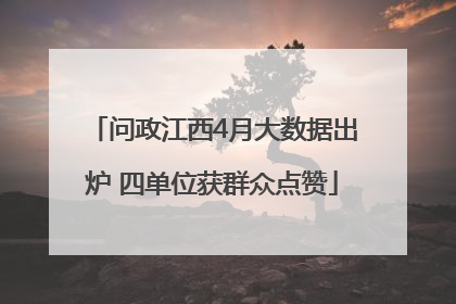 问政江西4月大数据出炉 四单位获群众点赞